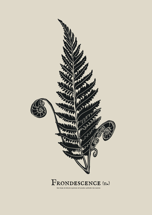 The Fern